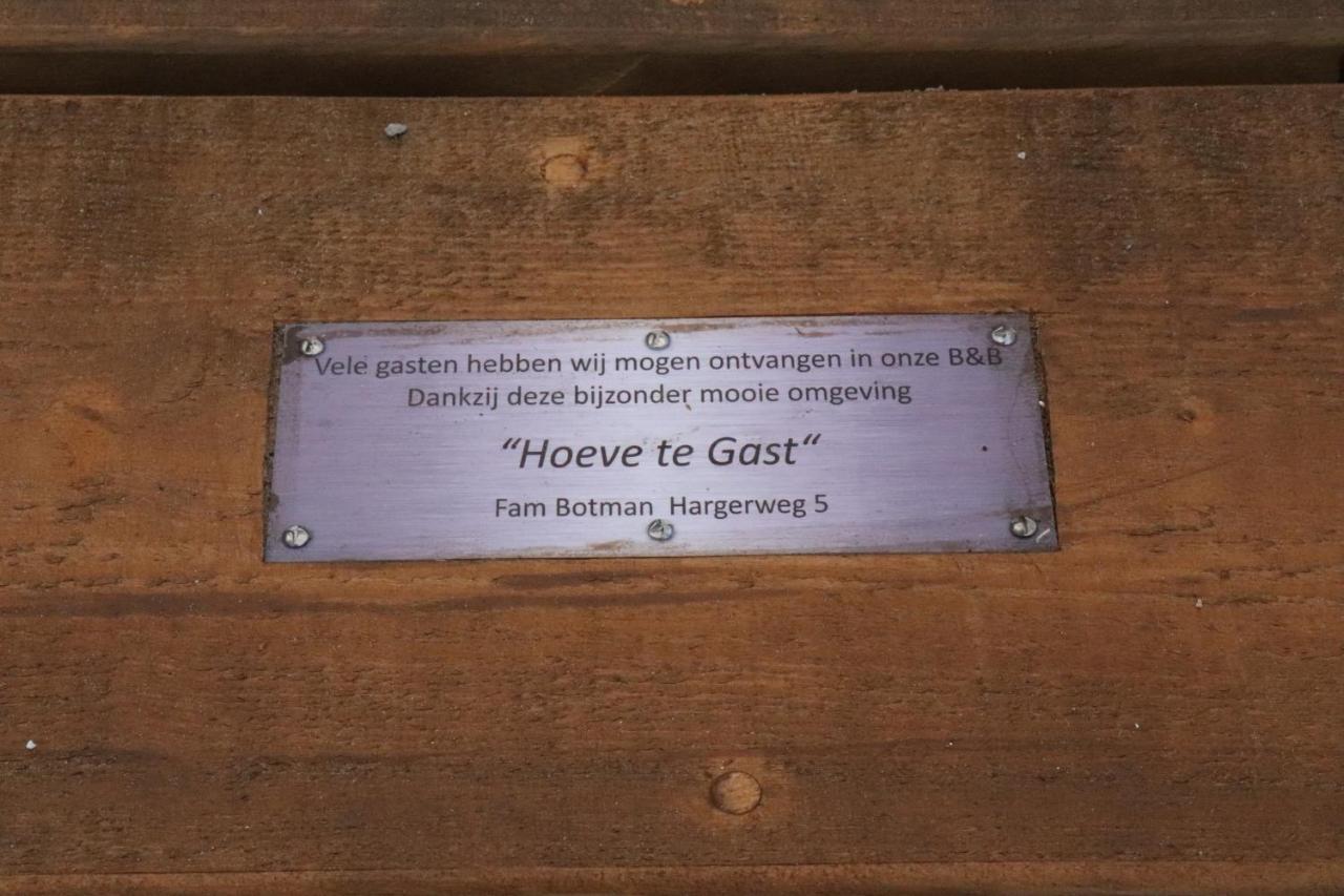 Hoeve Te Gast - Vakantieboerderij Groet Esterno foto