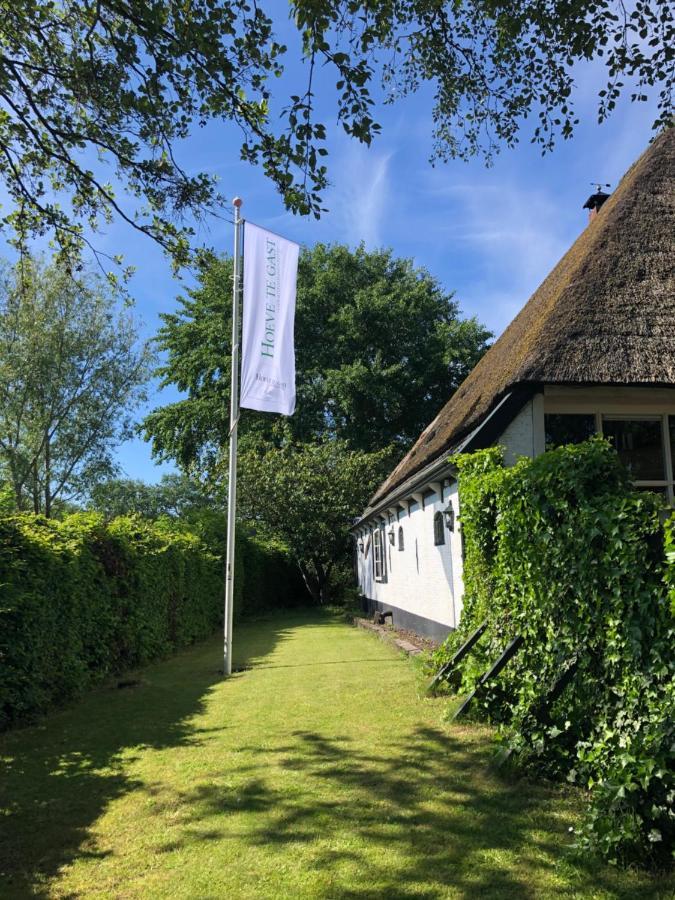 Hoeve Te Gast - Vakantieboerderij Groet Esterno foto