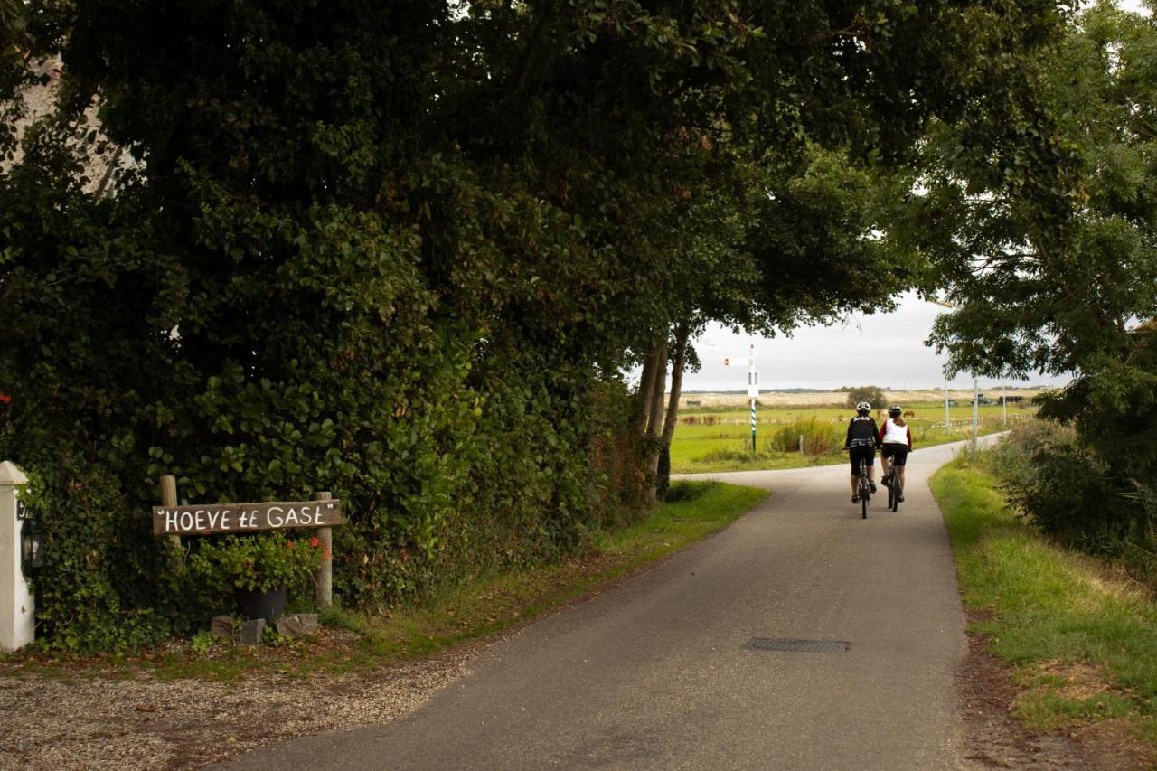 Hoeve Te Gast - Vakantieboerderij Groet Esterno foto